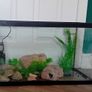 Fish tank Image 3