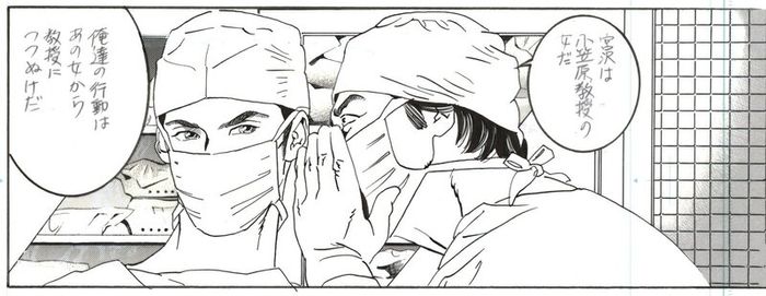 2 original Art Manga Pages.  by Noriko Nagai