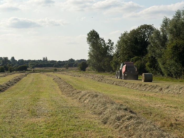 Hay for Sale