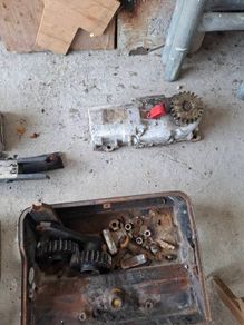 faac motors