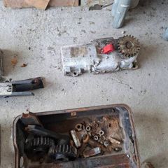 faac motors