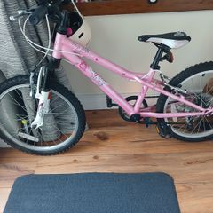 Girls bicycle