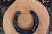 Lucky Horse Shoe