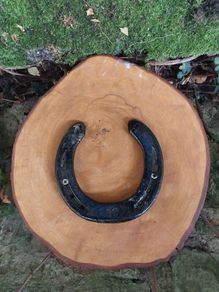 Lucky Horse Shoe