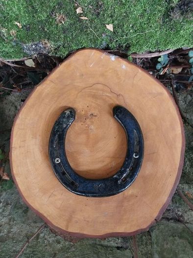 Lucky Horse Shoe