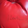 Autographed Kevin McBride Signed Everlast Boxing Gloves (Pair) Image 7