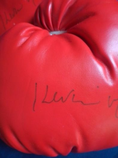 Autographed Kevin McBride Signed Everlast Boxing Gloves (Pair)