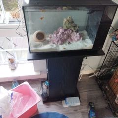 52L Fluval Evo 13.5 Gal Marine Tank (no livestock included)
