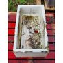 Belfast Sink Planter KAS1149 Image 2