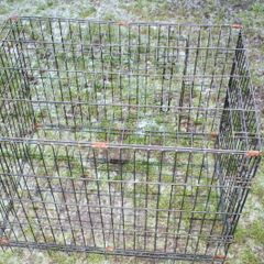 Dog / Animal Crate 75cm x 61cm x52cm