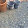 plant pots Image 5