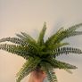 artificial plant vase (x2) Image 2
