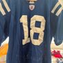 NFL Vintage Colts Indianapolis Payton Manning Jersey Size 50 and Colts Mens Beanie One Size Image 4