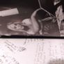 Open Book/ Jessica Simpson/2020 Image 4
