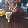 TwoElephants Image 3