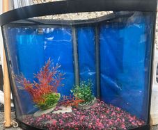 large light up fish tank