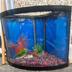 large light up fish tank