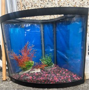 large light up fish tank