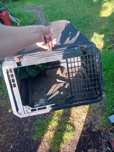 lawnmower grassboxs