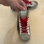 Golden goose Image 4