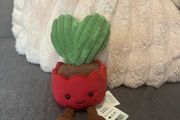 jellycat  plant
