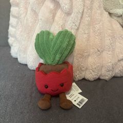 jellycat  plant