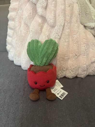jellycat  plant