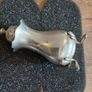 silver pepper Image 3
