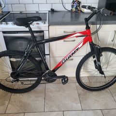 Giant mountain bike