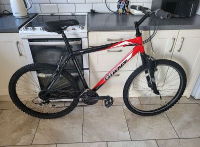 Giant mountain bike