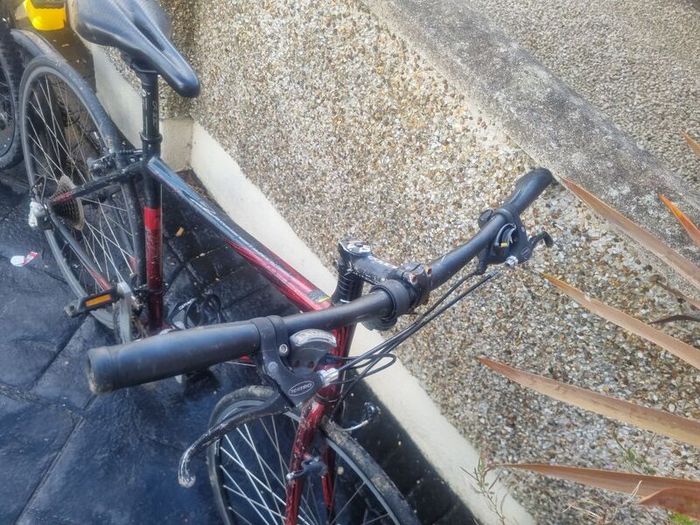 bike felt needs small work