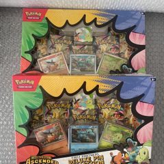 Pokemon Ascended Heros Mega Evolution Deluxe Pin Collection x2