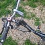 Adult bicycle Image 4