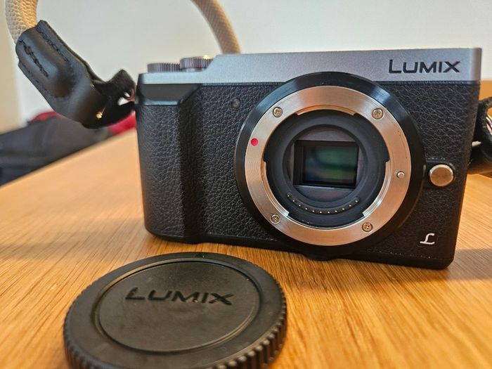 Panasonic Lumix GX80 camera