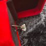 Natural Diamond 1.50ct Solitaire Ring Image 4