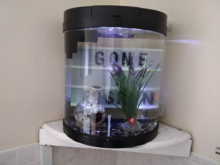 Fish Tank 19ltr