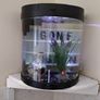 Fish Tank 19ltr Image 3