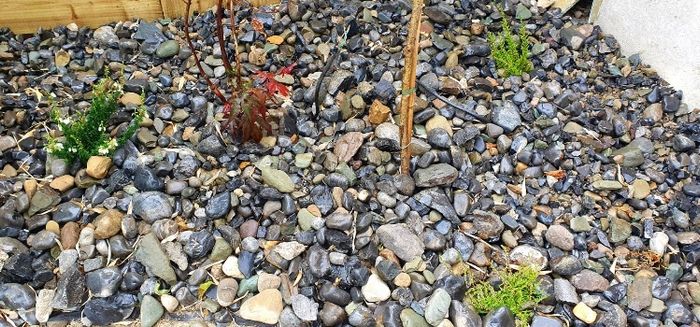 Gravel