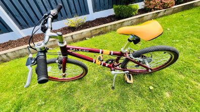 Raleigh Pop 20" Bike - Plum