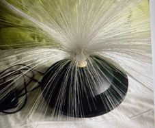 Fibre Optic  Lamp