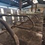 Cow Cubicles Image 4