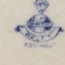 Large Oval Serving Plate Image 2