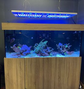 1000L Marine fish tank
