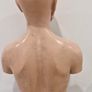Vintage Anatomy Model Image 8