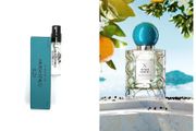 Citrus Poetry by Les Soeurs de Noe