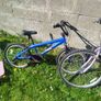 Shed clear out Image 3