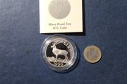 Eire  Silver Proof Ecu  Coin