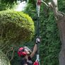 IKRA IEAS 750 Telescopic Pruner - 230V Image 2