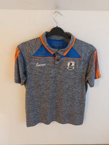 galway gaa polo