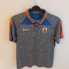 galway gaa polo